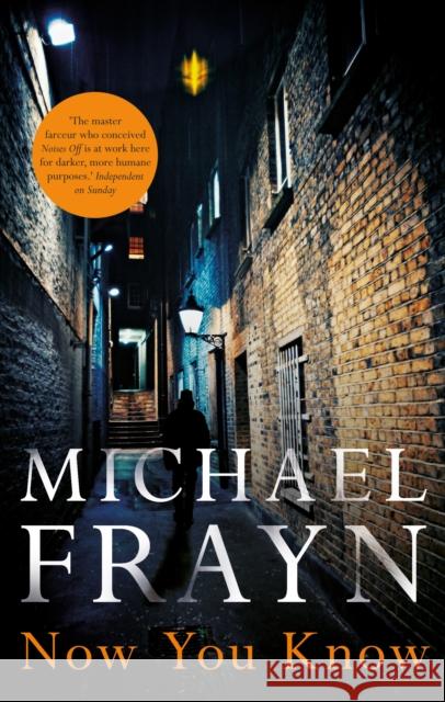 Now You Know Frayn, Michael 9780571315864 Faber & Faber - książka