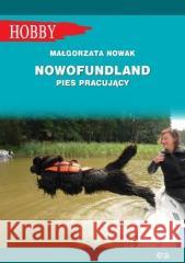 Nowofundlad - pies pracujący Nowak Małgorzata 9788363957568 Egros - książka