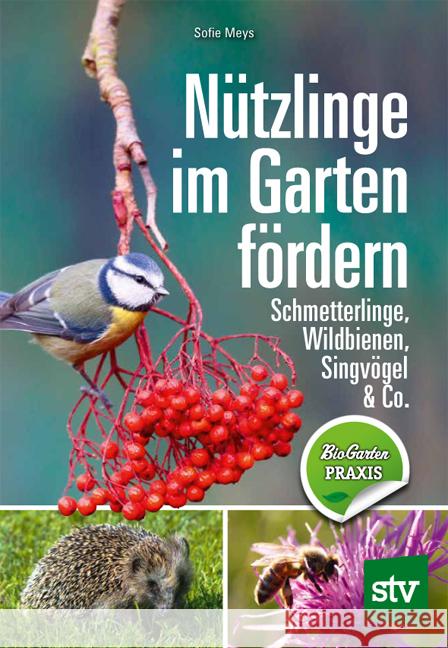 Nützlinge im Garten fördern Meys, Sofie 9783702019297 Stocker - książka