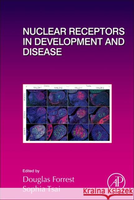 Nuclear Receptors in Development and Disease: Volume 125 Forrest, Douglas 9780128021729 Academic Press - książka