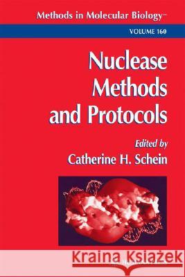 Nuclease Methods and Protocols Catherine H. Schein 9780896036796 Humana Press - książka