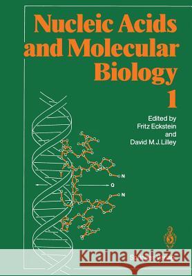 Nucleic Acids and Molecular Biology  9783642465987 Springer - książka