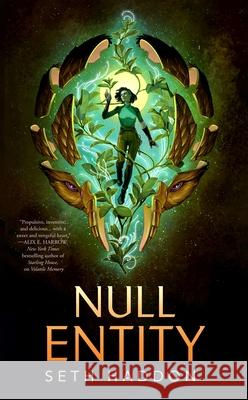 Null Entity Seth Haddon 9781250365217 Tordotcom - książka