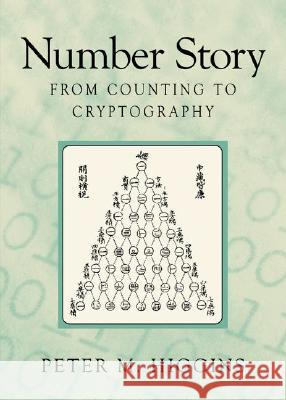 Number Story: From Counting to Cryptography Higgins, Peter Michael 9781848000001 Not Avail - książka