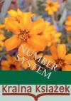 Number system Wong 9781461134725 Createspace