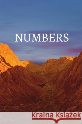 Numbers Bible Journal Medrano, Shasta 9781006252457 Blurb - książka