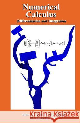 Numerical Calculus: Differentiation and Integration D. James Benton 9781980680901 Independently Published - książka