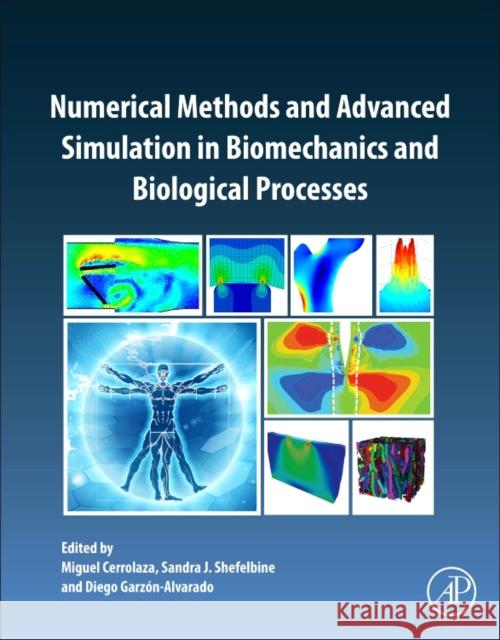 Numerical Methods and Advanced Simulation in Biomechanics and Biological Processes Miguel Cerrolaza Sandra Shefelbine Diego Garzon-Alvarado 9780128117187 Academic Press - książka