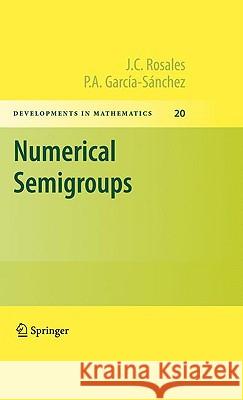 Numerical Semigroups J. C. Rosales P. A. Garca-A-Sanchez 9781441901590 Springer - książka