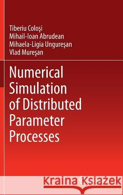 Numerical Simulation of Distributed Parameter Processes Tiberiu Colosi Mihail-Ioan Abrudean Mihaela-Ligia Unguresan 9783319000138 Springer International Publishing AG - książka