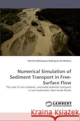 Numerical Simulation of Sediment Transport in Free-Surface Flow  9783838330235 LAP Lambert Academic Publishing AG & Co KG - książka