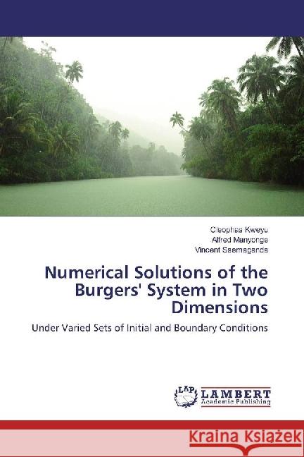Numerical Solutions of the Burgers' System in Two Dimensions : Under Varied Sets of Initial and Boundary Conditions Kweyu, Cleophas; Manyonge, Alfred; Ssemaganda, Vincent 9783330034976 LAP Lambert Academic Publishing - książka