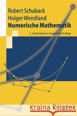 Numerische Mathematik Robert Schaback, Holger Wendland 9783540213949 Springer-Verlag Berlin and Heidelberg GmbH &  - książka