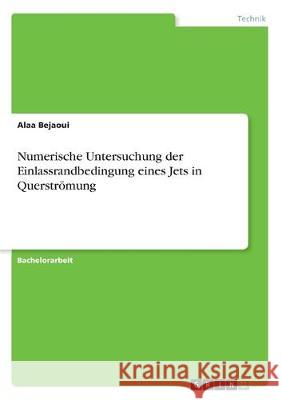 Numerische Untersuchung der Einlassrandbedingung eines Jets in Querströmung Alaa Bejaoui 9783668971240 Grin Verlag - książka