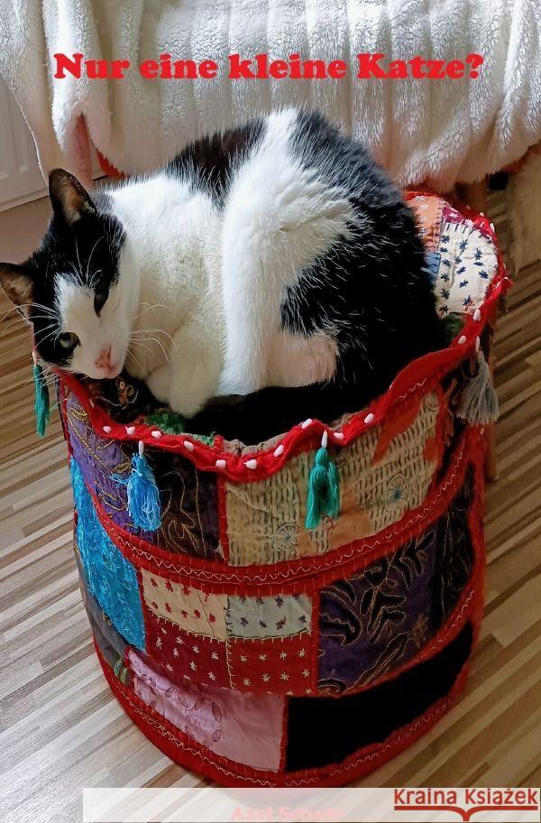 Nur eine kleine Katze? Schade, Axel 9783758469848 epubli - książka