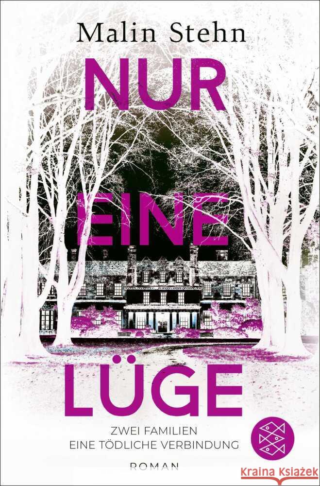 Nur eine Lüge - Zwei Familien, eine tödliche Verbindung Stehn, Malin 9783596707829 FISCHER Taschenbuch - książka