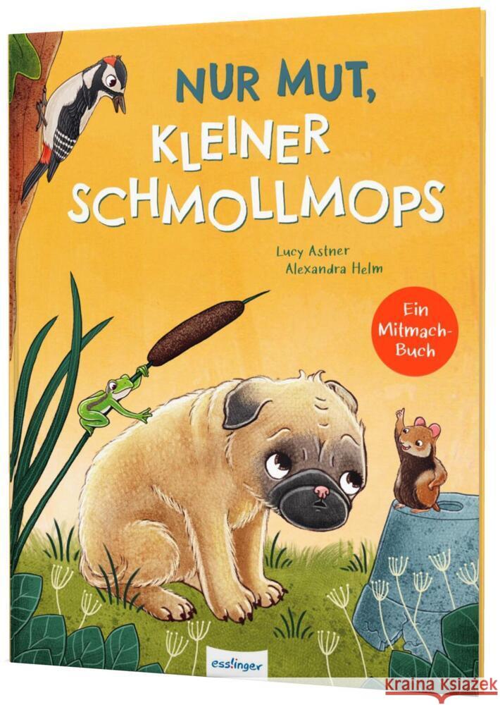 Nur Mut, kleiner Schmollmops Astner, Lucy 9783480237487 Esslinger in der Thienemann-Esslinger Verlag  - książka