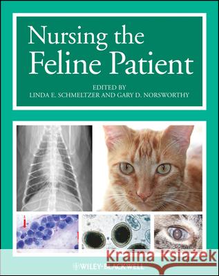 Nursing the Feline Patient Linda E. Schmeltzer Gary D. Norsworthy  9781119264910 Wiley-Blackwell - książka