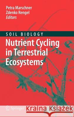 Nutrient Cycling in Terrestrial Ecosystems Petra Marschner 9783540680260 Springer - książka