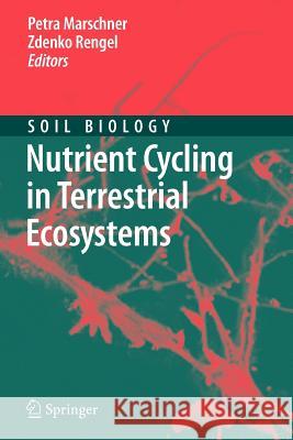 Nutrient Cycling in Terrestrial Ecosystems Petra Marschner 9783642087660 Not Avail - książka