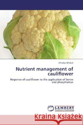 Nutrient management of cauliflower Dhakal, Dhruba 9783845430263 LAP Lambert Academic Publishing - książka