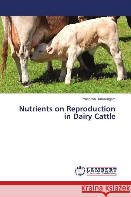 Nutrients on Reproduction in Dairy Cattle Ramalingam, Yasothai 9786139910502 LAP Lambert Academic Publishing - książka