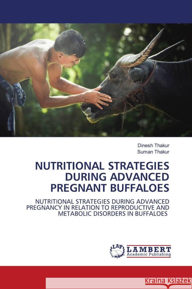 NUTRITIONAL STRATEGIES DURING ADVANCED PREGNANT BUFFALOES Thakur, Dinesh, Thakur, Suman 9786204742564 LAP Lambert Academic Publishing - książka