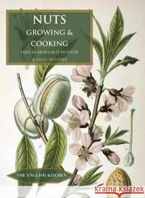 Nuts: Growing and Cooking Jane McMorlan Sally Hughes 9781909248540 Prospect Books - książka