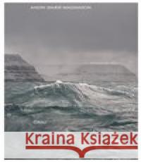 O času a vodě Andri Snaer Magnason 9788025737903 Argo - książka