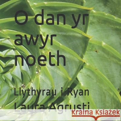 O dan yr awyr noeth: Llythyrau i Ryan Laura Agrusti 9781657192478 Independently Published - książka