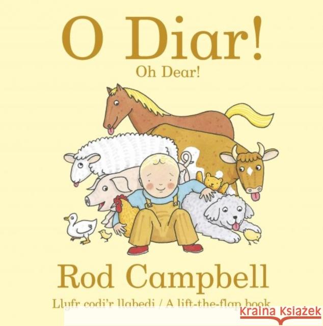 O Diar! Oh Dear!: Oh Dear! Rod Campbell 9781784232290 Dref Wen - książka