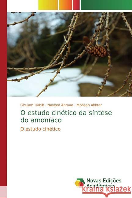 O estudo cinético da síntese do amoníaco : O estudo cinético Habib, Ghulam; Ahmad, Naveed; Akhtar, Mohsan 9786139803897 Novas Edicioes Academicas - książka