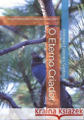 O Eterno Criador: Descomplicando a Sabedoria das Aves 3 Ferreira Santos, Antonio 9798277274422 Independently Published - książka