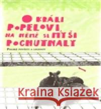 O králi Popelovi, na němž si myši pochutnaly Barbora Motlová 9788025702932 Argo - książka