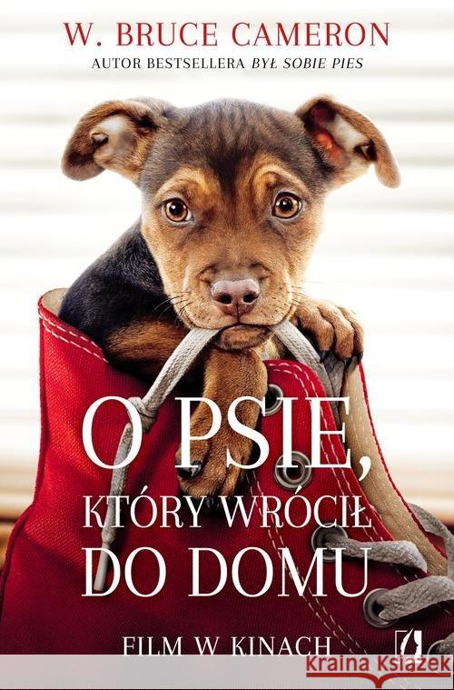 O psie, który wrócił do domu Cameron W. Bruce 9788366134935 Wydawnictwo Kobiece - książka