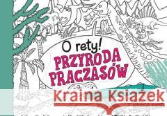 O rety! Przyroda praczasów. Kolorowanka Tomasz Samojlik 9788377637074 Multico - książka