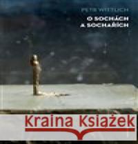 O sochách a sochařích Petr Wittlich 9788024651828 Karolinum - książka