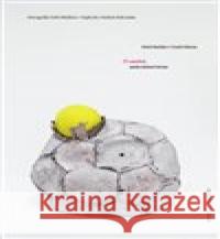 O umění, zjednodušeně řečeno Karel Haloun 9788087705827 RUBATO - książka