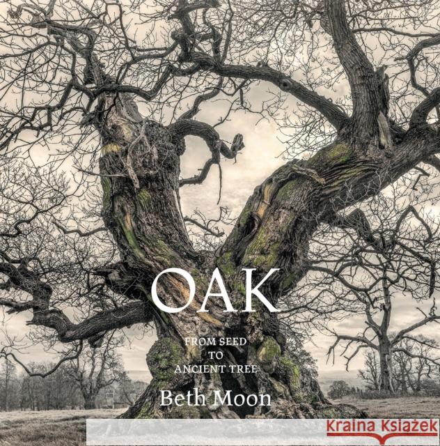 Oak: From Seed to Ancient Tree Beth Moon 9780789215185 Abbeville Press - książka