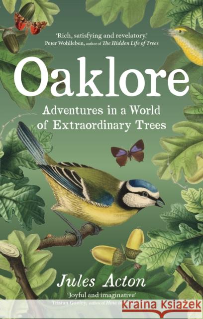 Oaklore: Adventures in a World of Extraordinary Trees Jules Acton 9781771649667 Greystone Books,Canada - książka