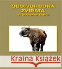 Obdivuhodná zvířata VI. - Sudokopytníci Vojtěch Škaloud 9788011062651 Škaloud Vojtěch - książka