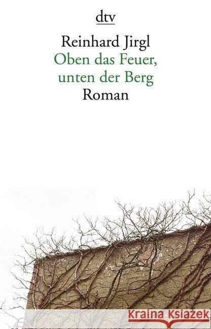 Oben das Feuer, unten der Berg : Roman Jirgl, Reinhard 9783423145787 DTV - książka