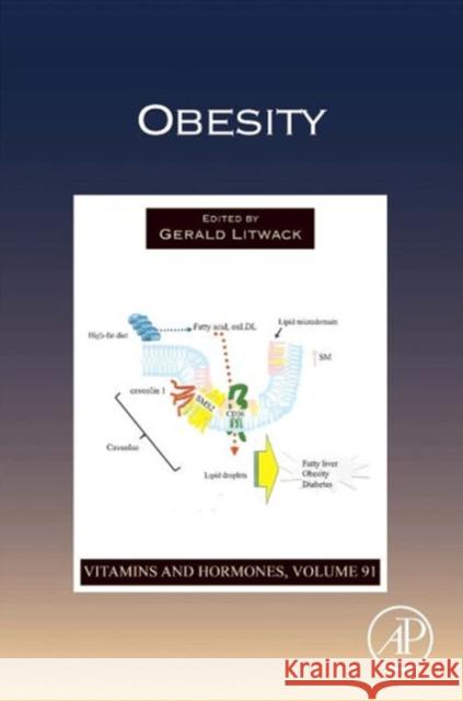 Obesity: Volume 91 Litwack, Gerald 9780124077669  - książka