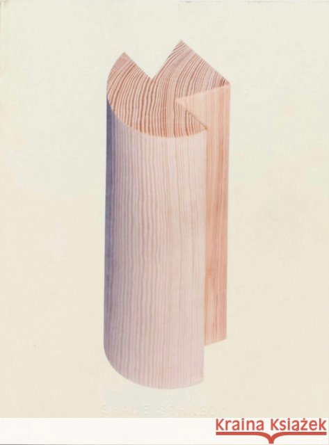 Objects in Dialogue Shane Schneck 9789152704486 Shane Schneck - książka