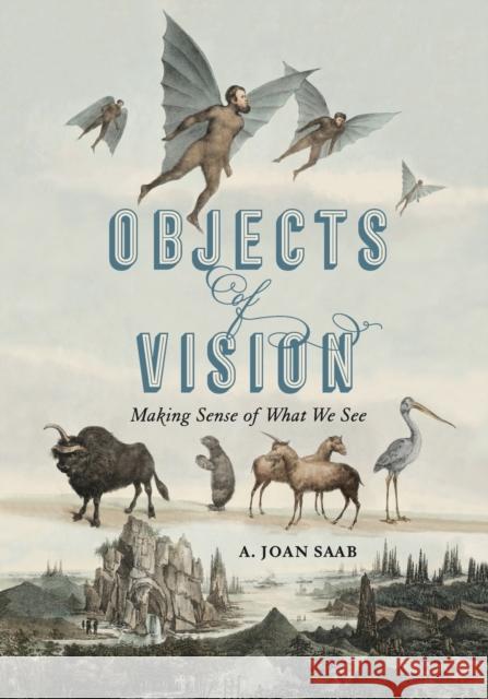 Objects of Vision: Making Sense of What We See A. Joan Saab 9780271088112 Penn State University Press - książka