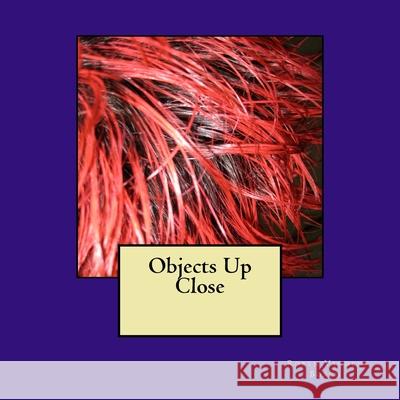 Objects Up Close Robyn Vande 9781983403859 Createspace Independent Publishing Platform - książka