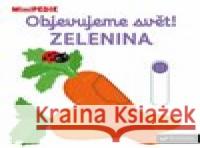 Objevujeme svět! Zelenina Nathalie Choux 9788025630877 Svojtka & Co. - książka