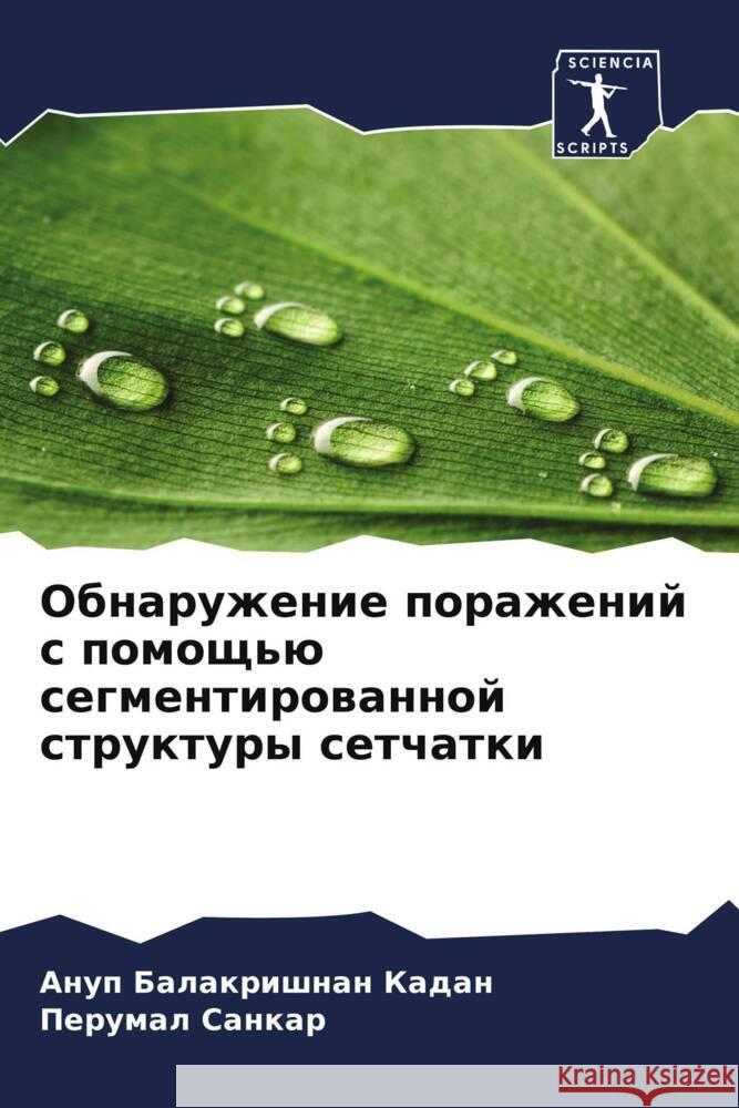 Obnaruzhenie porazhenij s pomosch'ü segmentirowannoj struktury setchatki Balakrishnan Kadan, Anup, Sankar, Perumal 9786208239404 Sciencia Scripts - książka