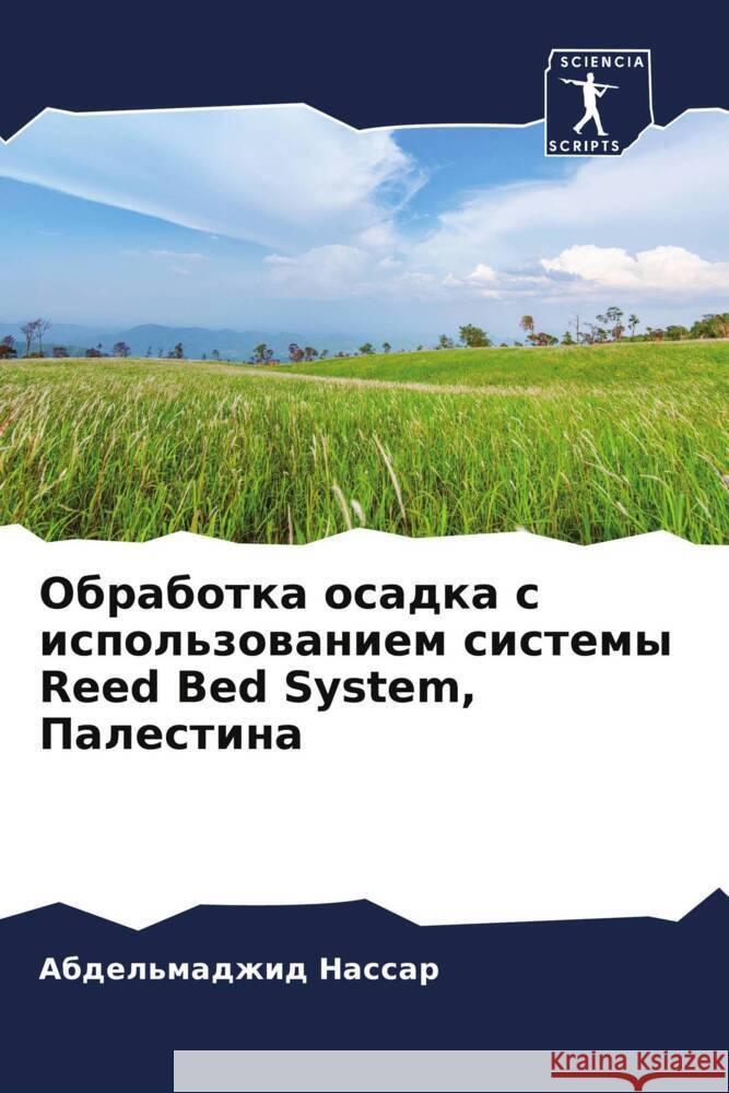 Obrabotka osadka s ispol'zowaniem sistemy Reed Bed System, Palestina Nassar, Abdel'madzhid 9786203275438 Sciencia Scripts - książka