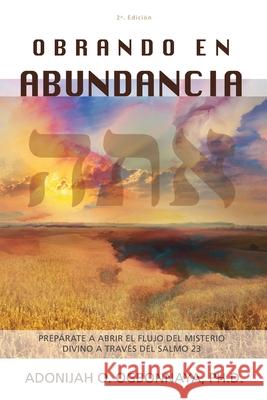 Obrando en abundancia Adonijah O. Ogbonnaya 9781971498041 As He Is T/A Seraph Creative - książka